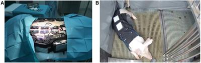 The detection and prediction of surgical site infections using multi-modal sensors and machine learning: Results in an animal model